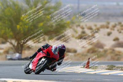 media/Apr-10-2022-SoCal Trackdays (Sun) [[f104b12566]]/Turn 5 Tree of Life (1040am)/